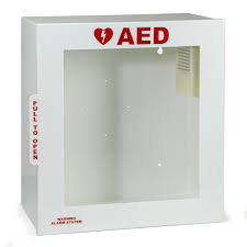 Heartsine Wall Cabinet with Alarm Custom for 350P